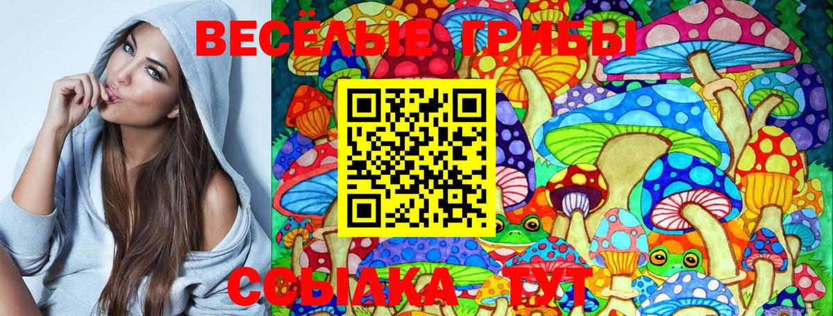 Волгоград  Галлюциногенные грибы Magic Shrooms  Вход с VPN 