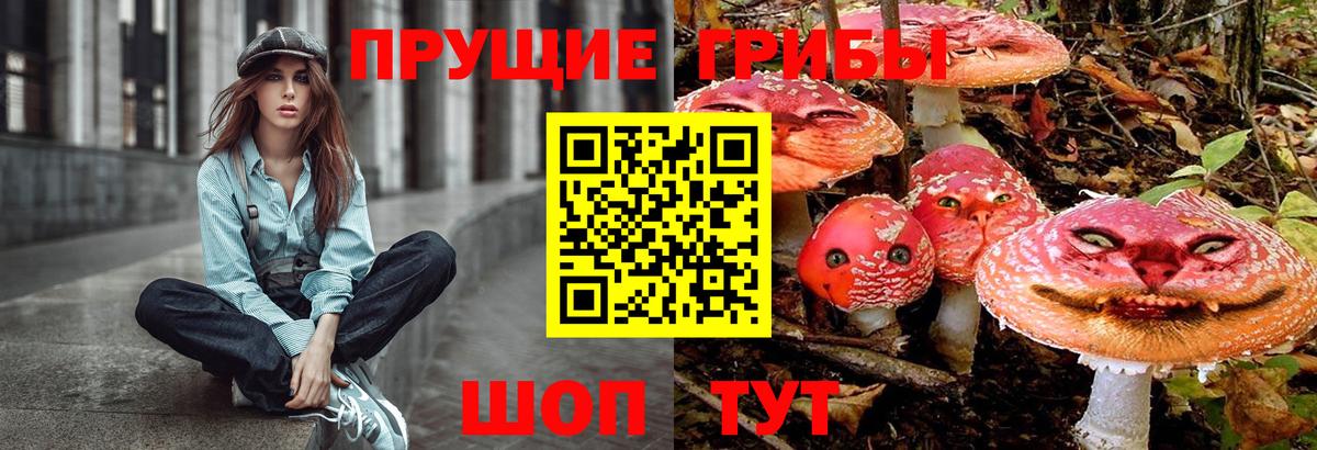 Псилоцибиновые грибы прущие грибы Волгоград